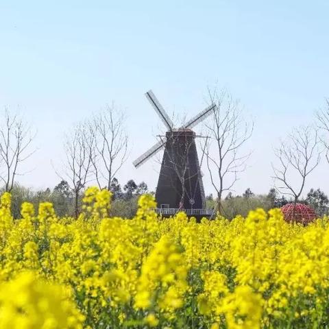 玉环地图概览更新
