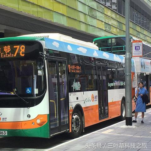 新大主宰最新动态，数字背后的故事与未来展望揭秘