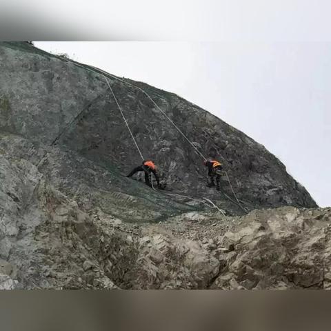蒙草生态诊断报告深度解析