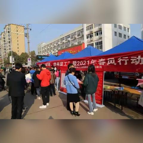 进贤最新招聘信息解析