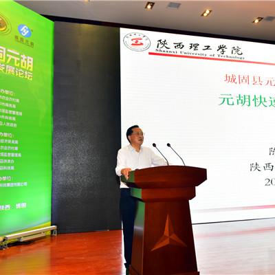 汉中元胡行情最新分析