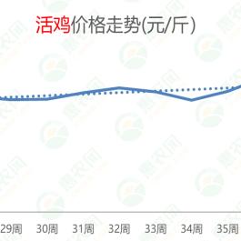 葡萄价格行情最新走势分析