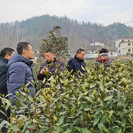 官方观点：2025正饭资料免费公开——农药减量 vs 虫害风险