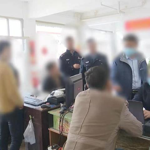 德州小麦今日最新价格走势分析