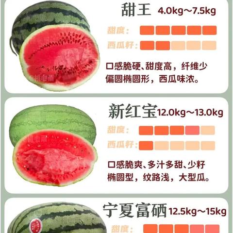 西瓜新品种介绍大全