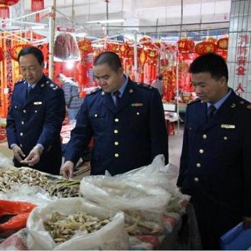 浦北繁荣交汇点，最新发展概览