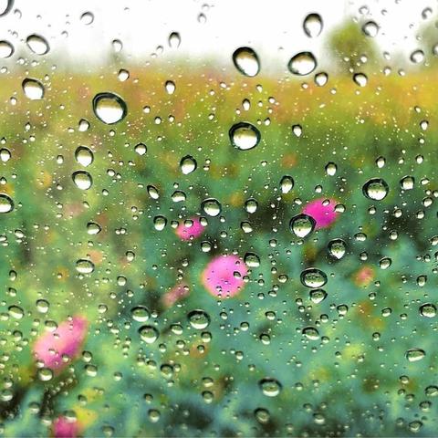临沂天气预报更新通知