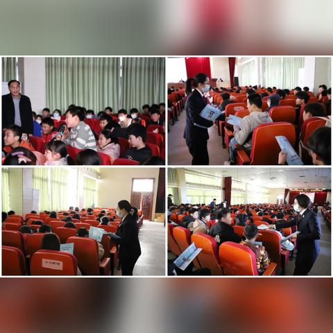 最新法律动态深度解读报告