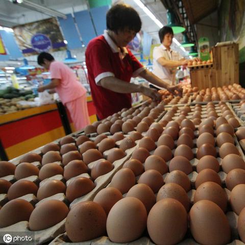 山东今日豆粕价格走势及分析