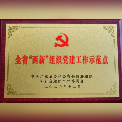 最新预告，甜蜜婚恋之旅，我们结婚了！