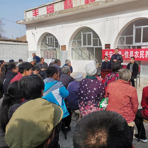 最新养羊技术全攻略