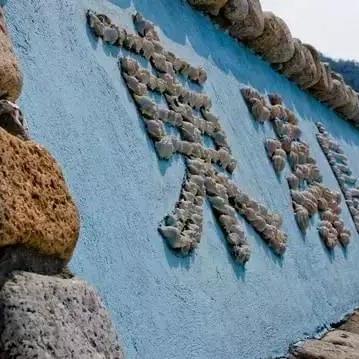 驻澳部队训练成果及军民融合深度发展实录视频公开