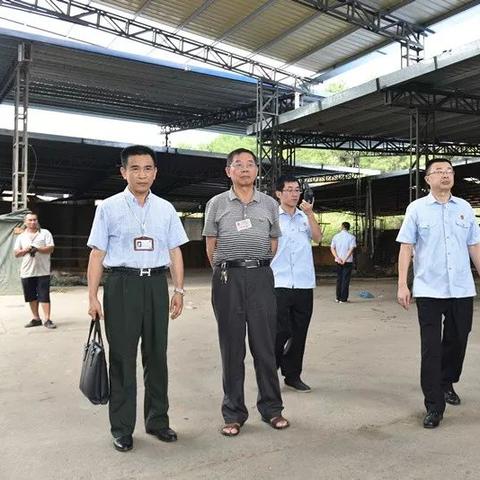 部队最新清退住房规定解析