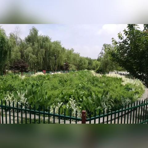 中国Bot项目案例深度解析