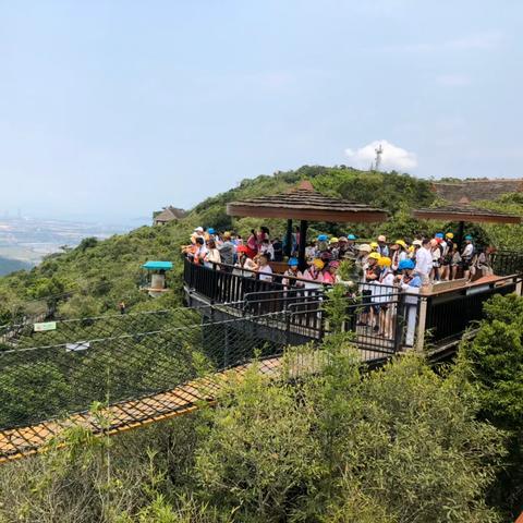 三亚热带天堂探索之旅最新游记