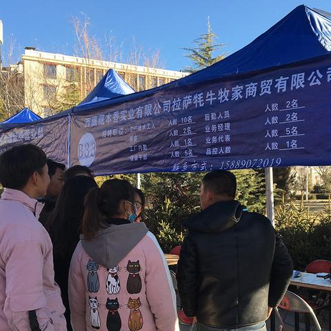 2025拉萨最新招聘信息大汇总