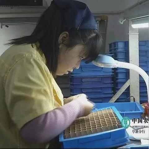 阜新小东北人才招聘新动态