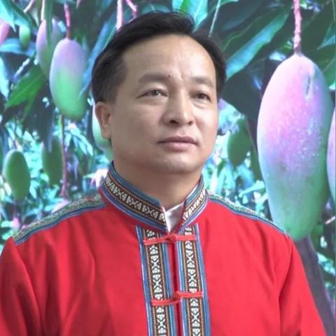 田阳楼盘最新解析