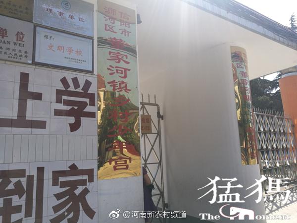 信阳车祸最新报道，事故细节与原因深度解析