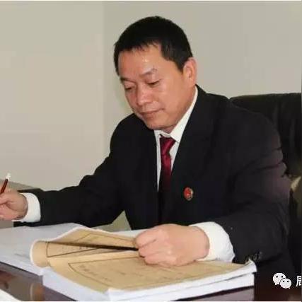 最新反贪小说，正义之网揭秘反腐战线
