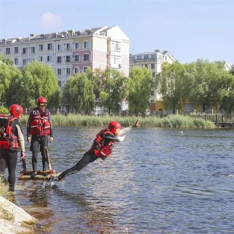 最新组织处理详解，五大关键要素全面解析