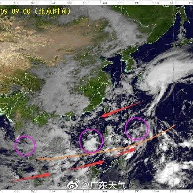 肇庆台风实时更新全面报告