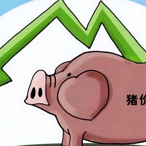 最新猪价动态及市场趋势分析展望