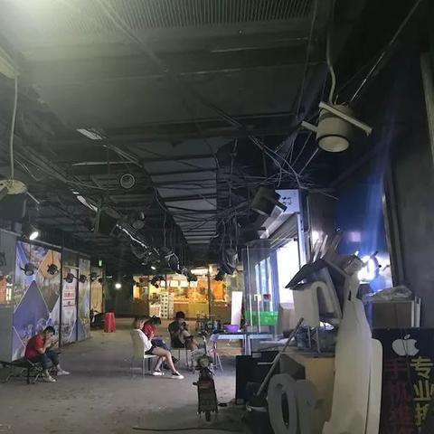 揭秘吹猪行业，精湛技艺与人文魅力视频首公开