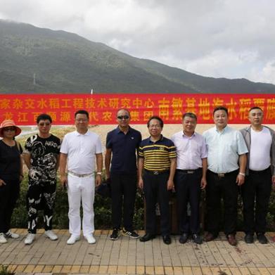 袁隆平超级稻再破产量纪录，农业科技创新迈向新高度
