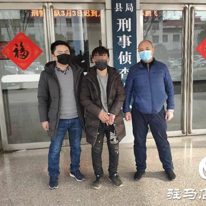 平舆租房市场最新分析概况
