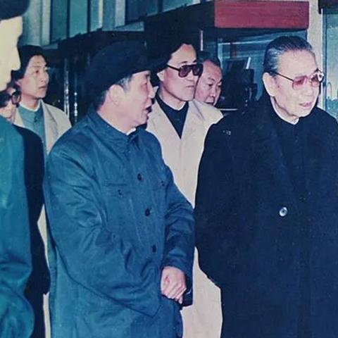 全球军事变革蓝图揭秘，最新军老虎计划展望（2025）
