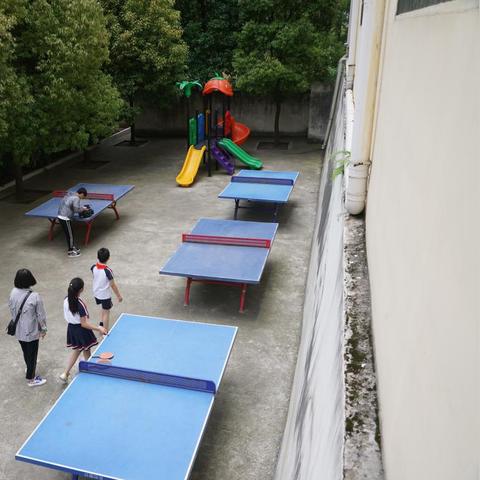 襄阳帮女郎节目最新动态解读