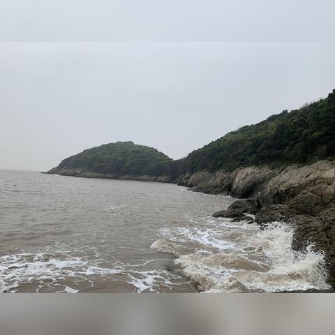 舟山定海店面最新出租信息解读