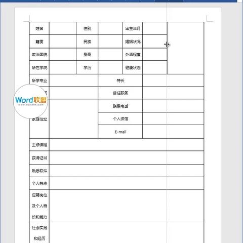 最新简历表格填写攻略