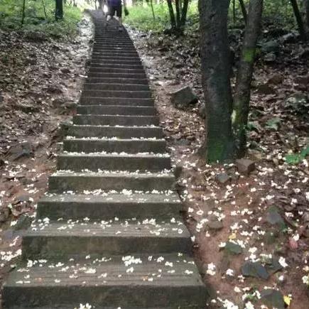 余江龙岗招聘最新动态信息
