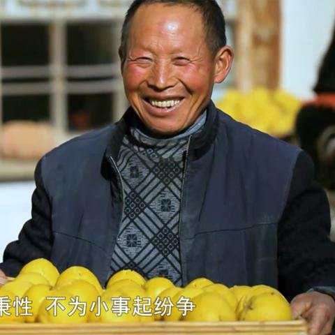 武汉黄陂区域发展迎新篇章，最新投资新闻速递
