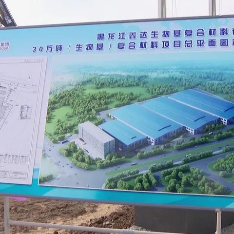 2025年玉米新品种解析，优质之选展望