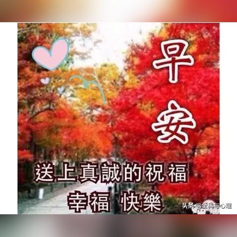 微信蘋果版最新功能詳解