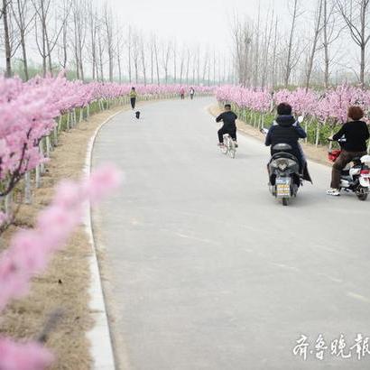 濟南北跨最新動態(tài)深度解析