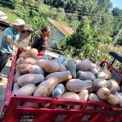 廣元紅巖鎮最新動態速遞
