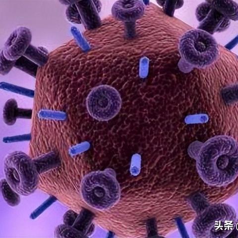 關(guān)于艾滋病的最新消息報道（2025年）